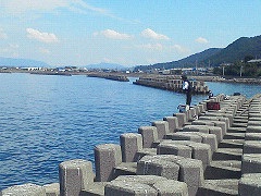 【resize0197.jpg】【幅240X高さ180】【容量29,647】