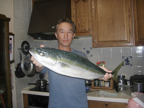 【013-09-13-23-03-38b.jpg】【幅500X高さ375】【容量39,058】