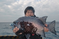【02.JPG】【幅240X高さ160】【容量38,030】