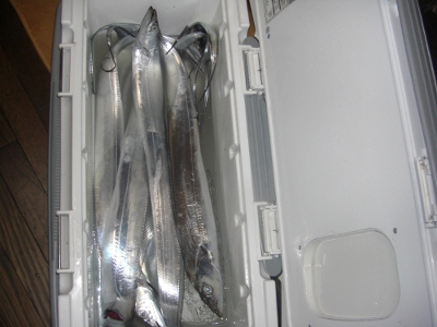 【2鵑猟牴漫ヲ実蔀宍七.JPG】【幅400X高さ300】【容量72,843】