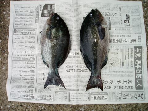 【07081248.jpg】【幅480X高さ360】【容量45,868】