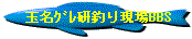 �ʖ��O�����ނ茻��BBS